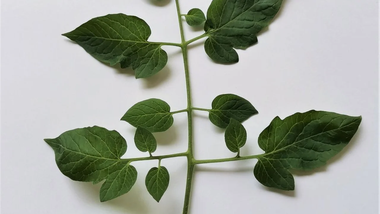 一起草17C·COm成人性超碰探索安全与乐趣的完美平衡